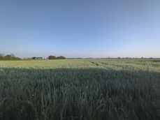 Porównanie zdjęć z poszczególnych aparatów