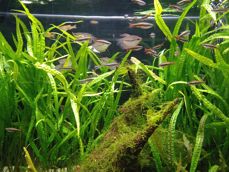 Porównanie zdjęć z poszczególnych aparatów