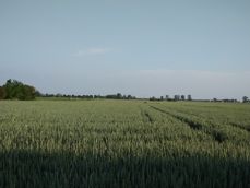 Porównanie zdjęć z poszczególnych aparatów