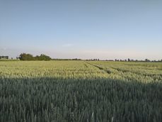 Porównanie zdjęć z poszczególnych aparatów