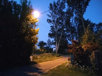 Porównanie zdjęć w trybie auto i trybie nocnym