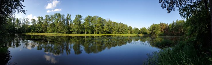 Panoramy