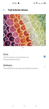 Ustawienia ekranu i personalizacja