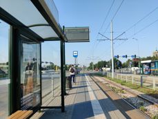 Zdjęcia wykonane aparatem ultraszerokokątnym, standardowym i z 2-krotnym zoomem