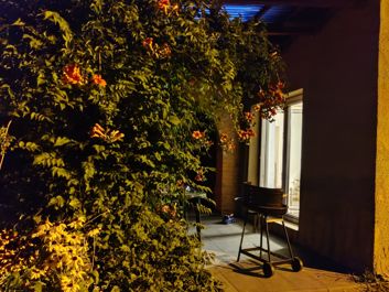 Porównanie zdjęć w trybie auto i w trybie nocnym