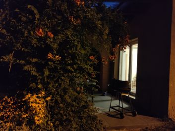 Porównanie zdjęć w trybie auto i w trybie nocnym