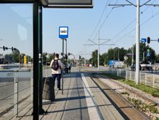 Zdjęcia wykonane aparatem ultraszerokokątnym, standardowym i z 2-krotnym zoomem