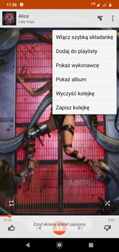 Ustawienia dźwięku | Muzyka Play | Radio FM | Efekty dźwiękowe działające z poziomu odtwarzacza muzyki i radia