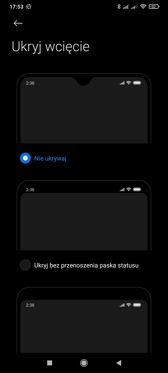 Ustawienia wyświetlacza | Funkcje MIUI związane z interfejsem
