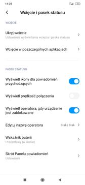Ustawienia związane z wyglądem, obsługą i personalizacją interfejsu