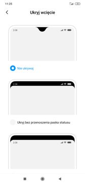 Ustawienia związane z wyglądem, obsługą i personalizacją interfejsu