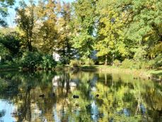 Przykładowe zdjęcia wykonane poszczególnymi aparatami