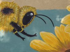 Przykładowe zdjęcia wykonane poszczególnymi aparatami