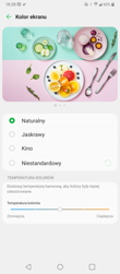 Elementy personalizacji i wybrane funkcje nakładki