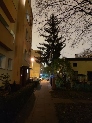 Przykłady zdjęć w trybie automatycznym i nocnym