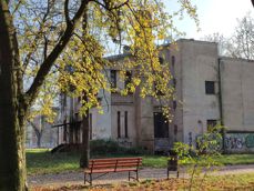 Porónanie zdjęć z aparatu ultraszerokokątnego, głównego i 2-krotnego zoomu