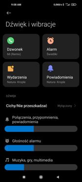 Ustawienia dźwięku