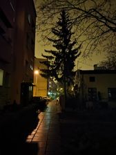 Przykładowe zdjęcia wykonane przy pomocy aparatów OnePlus Nord N10 5G