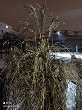 Przykładowe zdjęcia