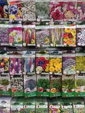 Przykładowe zdjęcia