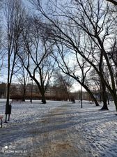 Przykładowe zdjęcia