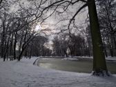 Przykładowe zdjęcia