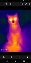 Galeria FLIR