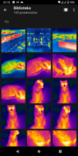 Galeria FLIR