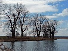 Porównanie zdjęć wykonanych aparatem ultraszerokokątnym, standardowym i z 2-krotnym zoomem Porównanie zdjęć wykonanych aparatem ultraszerokokątnym, standardowym i z 2-krotnym zoomem
