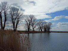 Porównanie zdjęć wykonanych aparatem ultraszerokokątnym, standardowym i z 2-krotnym zoomem Porównanie zdjęć wykonanych aparatem ultraszerokokątnym, standardowym i z 2-krotnym zoomem