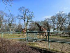 Porównanie zdjęć wykonanych aparatem ultraszerokokątnym, standardowym i z 2-krotnym zoomem Porównanie zdjęć wykonanych aparatem ultraszerokokątnym, standardowym i z 2-krotnym zoomem