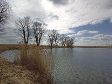 Porównanie zdjęć wykonanych aparatem ultraszerokokątnym, standardowym i z 2-krotnym zoomem Porównanie zdjęć wykonanych aparatem ultraszerokokątnym, standardowym i z 2-krotnym zoomem