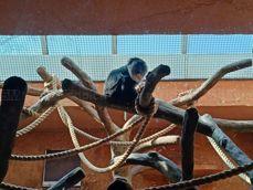 Porównanie zdjęć wykonanych aparatem ultraszerokokątnym, standardowym i z 2-krotnym zoomem Porównanie zdjęć wykonanych aparatem ultraszerokokątnym, standardowym i z 2-krotnym zoomem