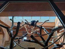 Porównanie zdjęć wykonanych aparatem ultraszerokokątnym, standardowym i z 2-krotnym zoomem Porównanie zdjęć wykonanych aparatem ultraszerokokątnym, standardowym i z 2-krotnym zoomem