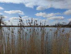 Zdjęcia z aparatu z szerokim kątem, aparatu głównego i z 2-krotnym zoomem