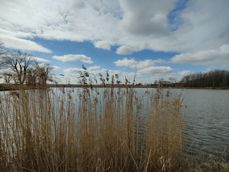 Zdjęcia z aparatu z szerokim kątem, aparatu głównego i z 2-krotnym zoomem