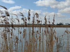 Zdjęcia z aparatu z szerokim kątem, aparatu głównego i z 2-krotnym zoomem