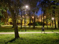 Porównanie zdjec z aparatu z ultraszerokim kątem, aparatu głównego i 2-krotnego zoomu