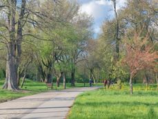 Porównanie zdjec z aparatu z ultraszerokim kątem, aparatu głównego i 2-krotnego zoomu