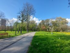 Porównanie zdjec z aparatu z ultraszerokim kątem, aparatu głównego i 2-krotnego zoomu