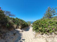 Porównanie zdjęć w różnych przybliżeniach: 0,6x, 1x, 2x