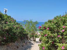 Porównanie zdjęć w różnych przybliżeniach: 0,6x, 1x, 2x