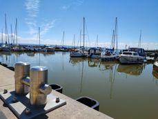 Porównanie zdjęć w różnych przybliżeniach: 0,6x, 1x, 2x