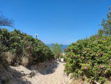 Porównanie zdjęć w różnych przybliżeniach: 0,6x, 1x, 2x