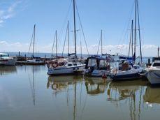 Porównanie zdjęć w różnych przybliżeniach: 0,6x, 1x, 2x