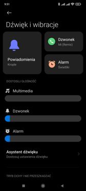 Ustawienia dźwięku