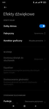 Ustawienia dźwięku