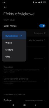 Ustawienia dźwięku