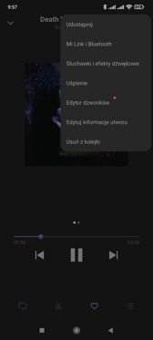 Firmowy odtwarzacz muzyki