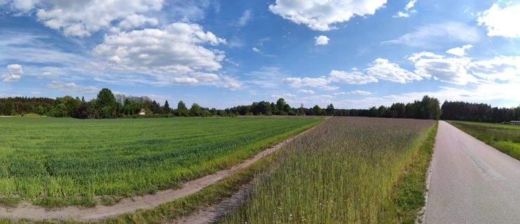 Panorama
